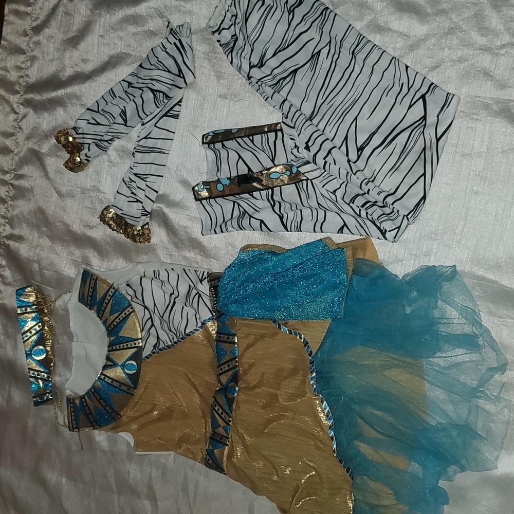 Funky Cleo costume